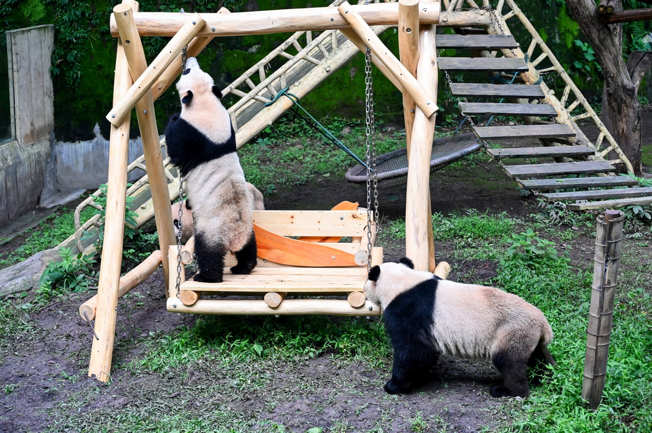 1719449434921709.png 1719449434921709.png